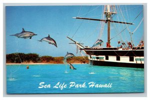 Vintage 1960's Postcard Jumping Dolphins at Sea Life Park Makapuu Point Hawaii