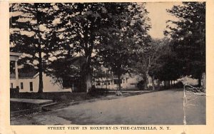 Street View in Roxbury, New York