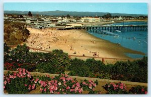 SANTA CRUZ, CA California ~ COWELL BEACH, Pier & CASINO c1950s  Postcard