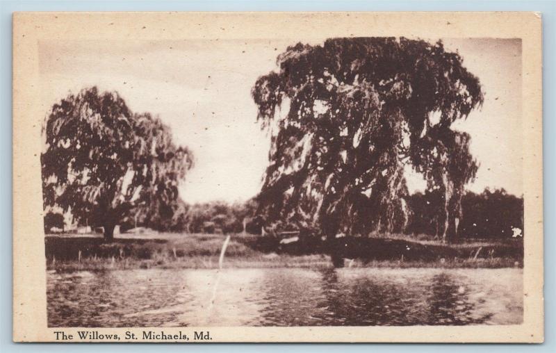 Postcard MD St Michaels The Willows c1918 View N16