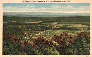 Vintage Postcard 1946 Peaceful Growing Valley Route US 40 Western Maryland MD