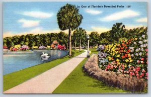 In One Of Florida's Beautiful Parks, Vintage Tichnor Bros. Linen Postcard