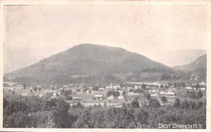 Bird's Eye View East Branch, New York Postcard