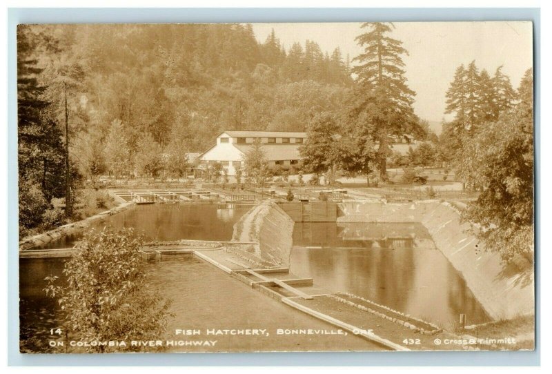 c. 1920 RPPC Fish Hatchery Bonneville, Oregon Postcard F91