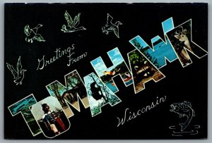 Postcard Tomahawk WI Greetings from Tomahawk Wisconsin Large Letter Greeting