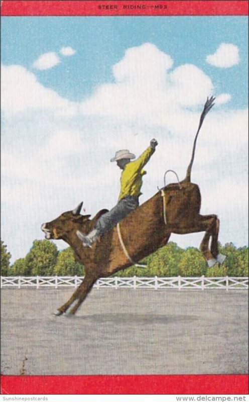 Rodeo Steer Riding