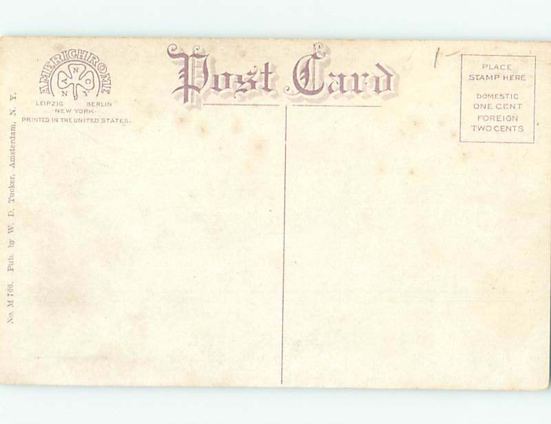 Divided-back TRAIN BRIDGE Amsterdam - Near Schenectady & Albany NY AD4988