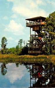 Georgia Okefenokee Swamp Park Observation Tower 1971
