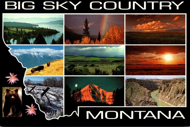 Montana Big Sky Country Multi View