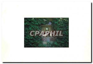 Modern Postcard The pigeon