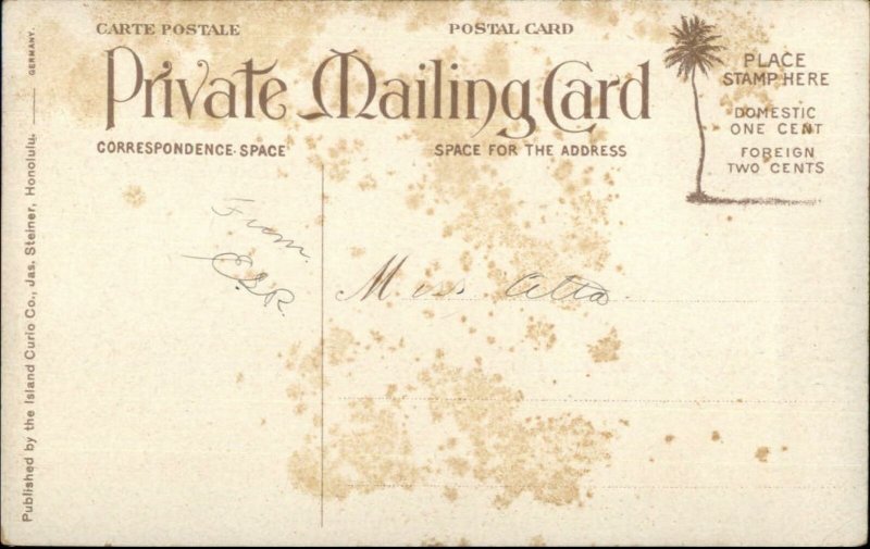 Pineapple Plantation Farmers Hawaii HI c1910 Private Mailing Card