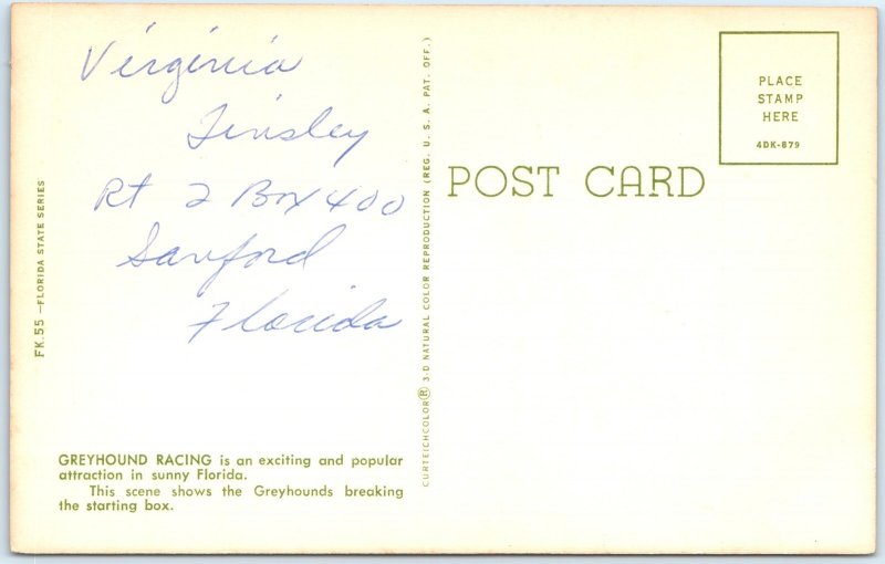 c1960s FL, Florida Greyhound Dog Racing Starting Box Run Gambling Chrome PC A310