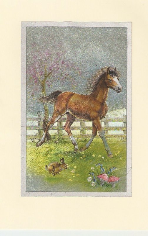 Horse running. Rabbits Modern glitter  folded card. Size 11 x 16 cms.