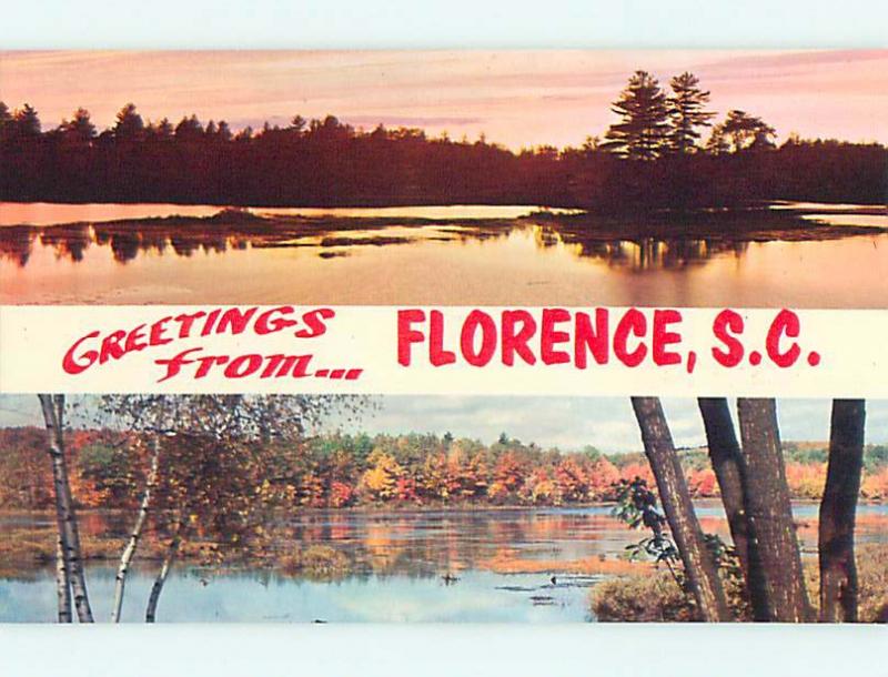 Unused Pre-1980 GREETINGS FROM - TWO VIEWS OF WATER SCENES Florence SC t4842