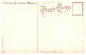 Dog ,   Saint Bernards