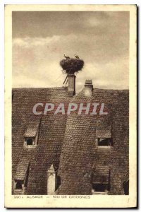 Old Postcard Alsace Storks Nest