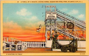 Linen Postcard Steel Pier High Diving Horses in Atlantic City, New Jersey