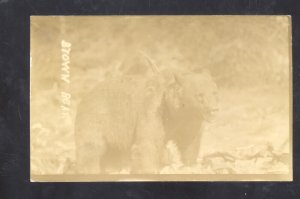 RPPC YELLOWSTONE NATIONAL PARK LARGE BROWN BEAR VINTAGE REAL PHOTO POSTCARD