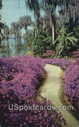 Azalea Lane - Cypress Gardens, Florida FL