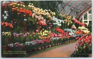 Postcard - Interior Conservatory, Washington Park - Chicago, Illinois