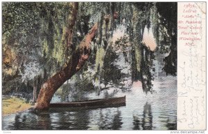 WILMINGTON, North Carolina, PU-1908; Lake At Airlie Mr. Pembroke Jones' Count...