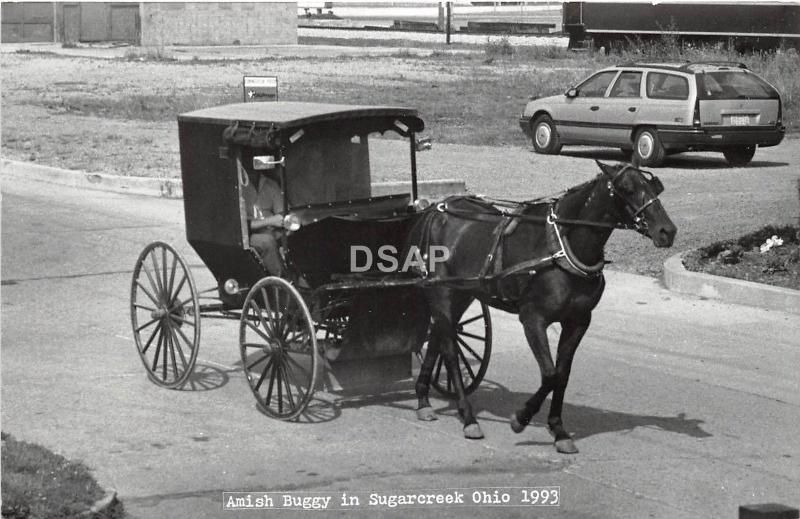 A52/ Sugar Creek Tuscarawas County Ohio Postcard 1993 RPPC Gilmore Amish Buggy 3