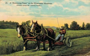 USA - A Humming Time in the Wisconsin Meadows 03.42