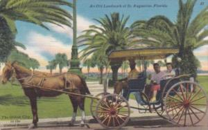 Florida St Augustine Horse and Carriage 1954