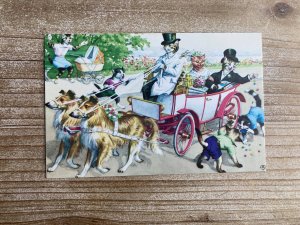 Mainzer Cats, Wedding Carriage Pulled By Collies, 4920, Eugen Hartung, Turkey...