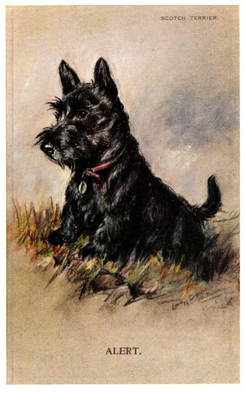 Dog ,  Scotch Terrier , artist signed ,