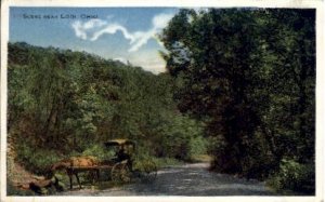 Scene Near Lodi - Ohio