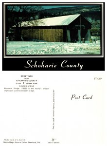 Greetings from Schohaire Country in the Heart of New York, Winter Scene 8034