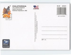 Postcard USA 37, Greetings from California