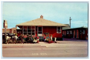 c1960's Knotty Pine Motel Roadside Rock Springs Wyoming WY Unposted Postcard