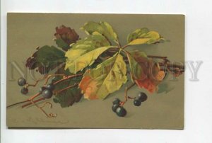 477363 KLEIN autumn leaves Vintage postcard M&B #1862