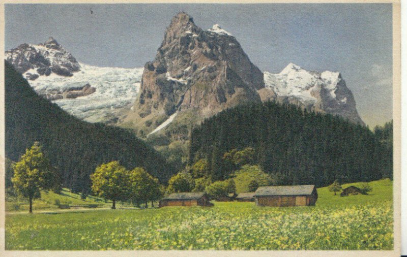 Switzerland Postcard - Rosenlaui Des Gschwandtenmaad - Ref TZ7652