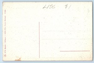 Bologna Emilia-Romagna Italy Postcard Independence Street c1910 Unposted