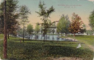 New York Utica Scene In Watson Williams Park 1913