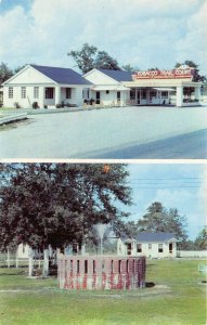 Statesboro Georgia 1960s Postcard Tobacco Trail Court Motel