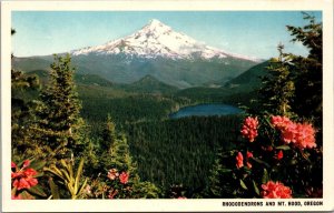 Rhododendrons and Mt. Hood Oregon Postcard PC100