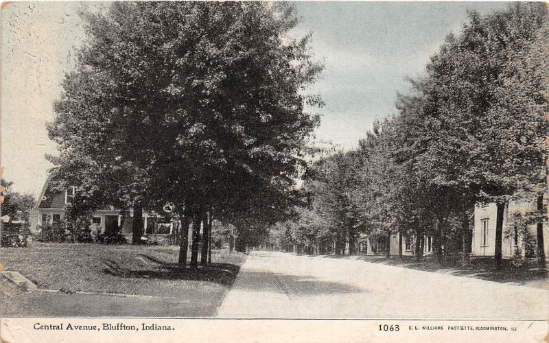 C85/ Bluffton Indiana In Postcard c1910 Central Avenue Homes Trees