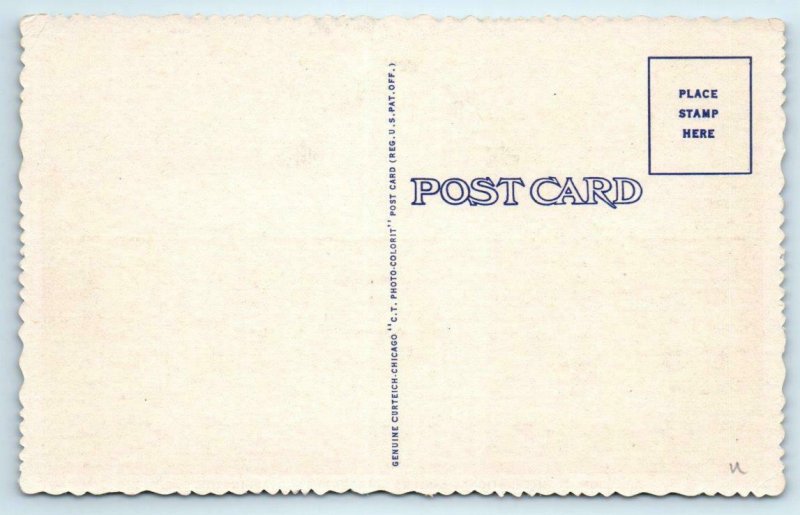 3 Postcards WASHINGTON D.C. ~ International EASTERN STAR TEMPLE c1940s Linens