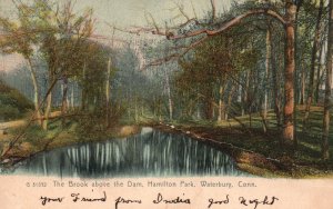 Vintage Postcard 1907 Brook Above Dam Hamilton Park Waterbury Connecticut CT