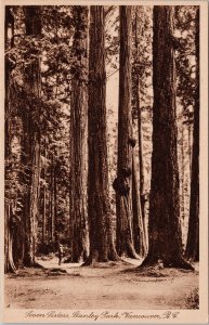 Seven Sisters Trees Stanley Park Vancouver BC Leonard Frank Postcard H56