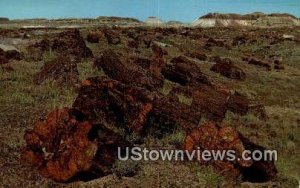 Third Forest - Petrified Forest National Park, Arizona AZ