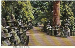 Japan Postcard - Avenue of Lanterns at Kasuga Shrine - Nara   U1078