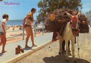 BG35400 mallorca donkey types folklore spain