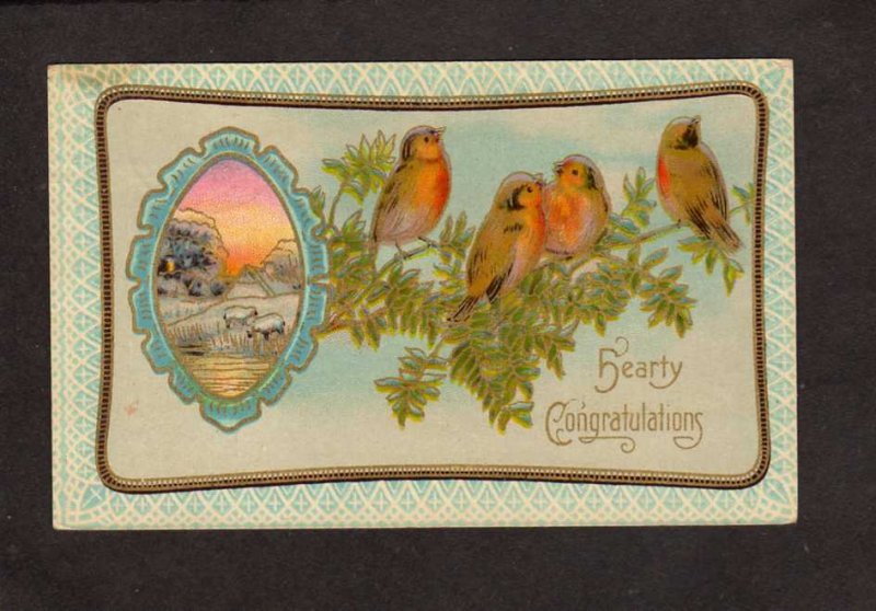 Hearty Congratulations Birds Sheep Greetings Postcard 1911