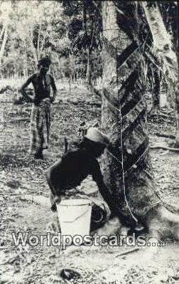 Rubber Tapping Singapore Unused 