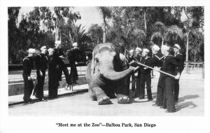 San Diego Zoo, Balboa Park, Elephant & Sailors ca 1940s Vintage Postcard